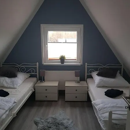 Vakantiehuis Neues-ferienhaus-am-schoenen-ferienpark-twistesee-naehe-bad-arolsen *