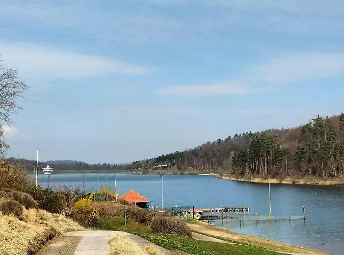 Neues-ferienhaus-am-schoenen-ferienpark-twistesee-naehe-bad-arolsen Сasa de vacaciones *